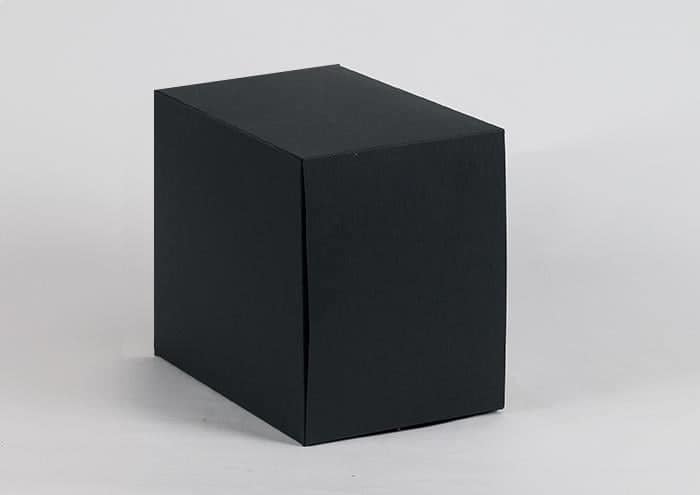 Surprise Box small rettangolare confezione regalo per fiori in scatola cm 18 nero 3