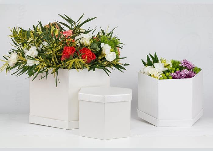 Collezione scatole per fiori esagonali Geometric Flo