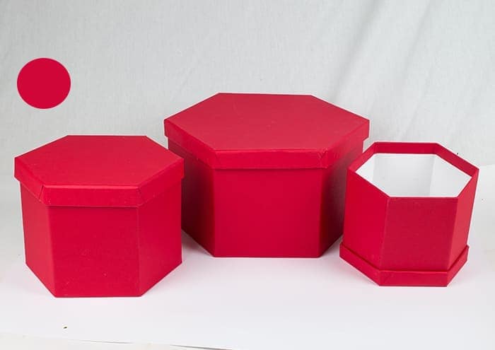 immagine ecommerce Geometryflò middle scatola per fiori esagonale fatta a mano cm 20 rosso