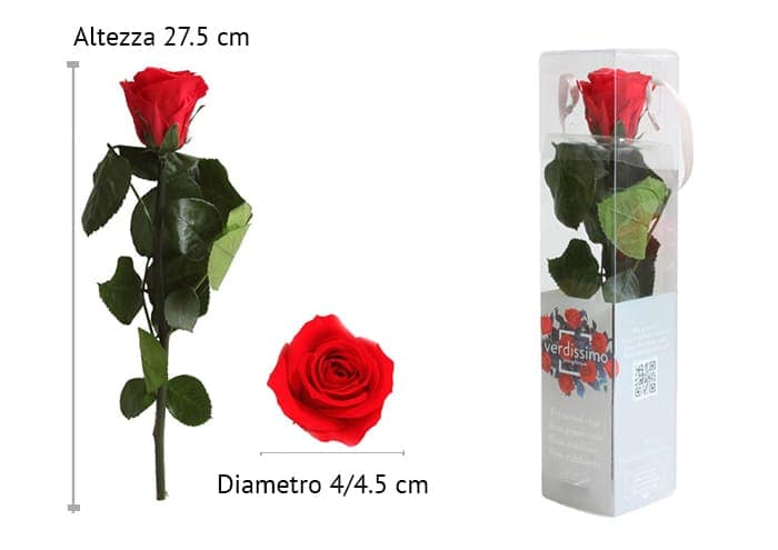 immagine e-commerce Rosa stabilizzata con stelo cm 27.5 (amorosa)