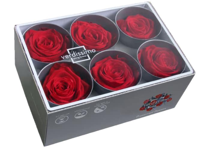 rosa-stabilizzata-cm-5-5-rosso