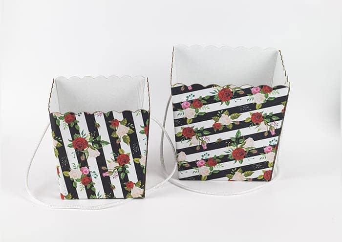 Pacchetto Travelflò - Scatole Regalo per Piante 30 pz - immagine 17