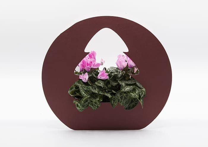 christmas-tree-bag-confezione-regalo-per-fiori-colore-Bordeaux