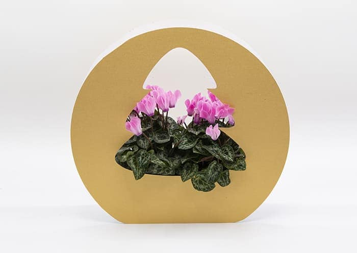 christmas-tree-bag-confezione-regalo-per-fiori-colore-Oro