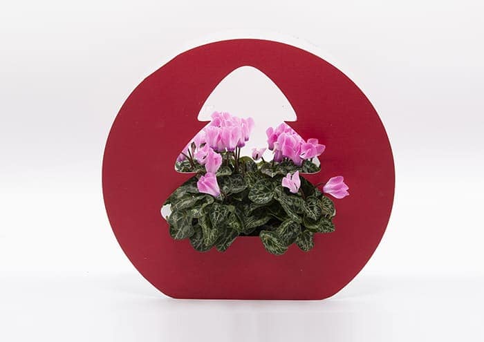christmas-tree-bag-confezione-regalo-per-fiori-colore-Rosso