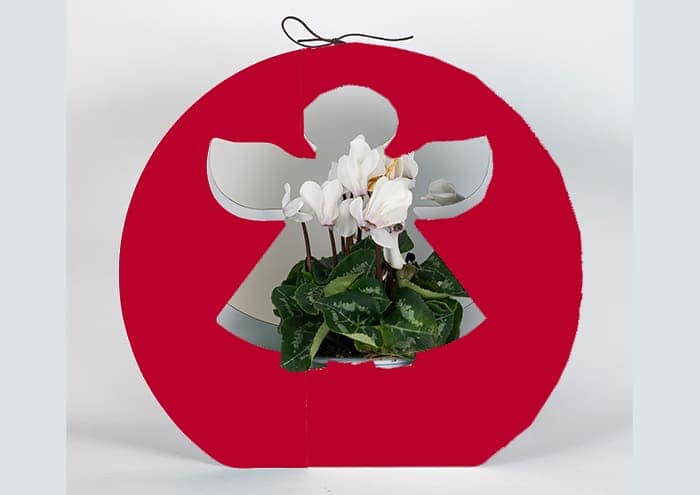 Immagine e commerce Angel bag confezione regalo per fiori colore rosso