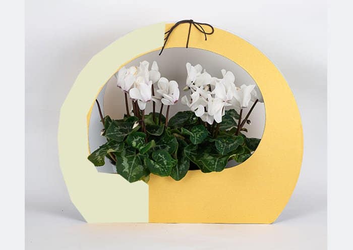 Immagine e commerce Maxi round bag Confezione regalo per fiori colore avorio oro