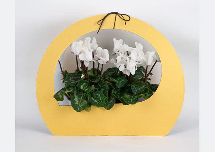 Immagine e commerce Maxi round bag Confezione regalo per fiori colore oro