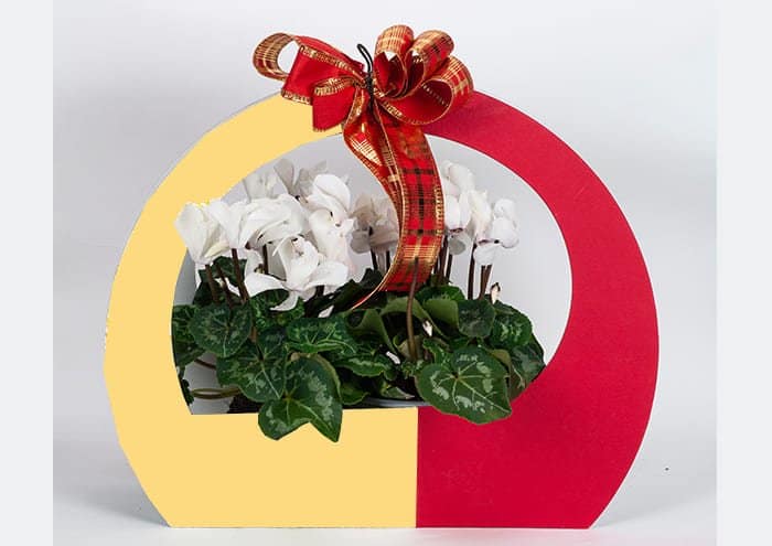 Immagine e commerce Maxi round bag Confezione regalo per fiori colore rosso oro