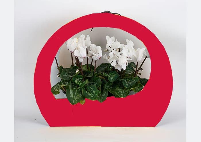 Immagine e commerce Maxi round bag Confezione regalo per fiori colore rosso