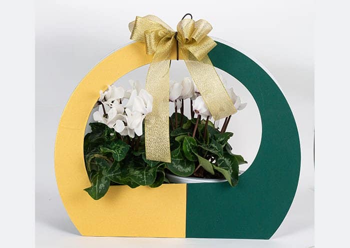 Immagine e commerce Maxi round bag Confezione regalo per fiori colore verde oro