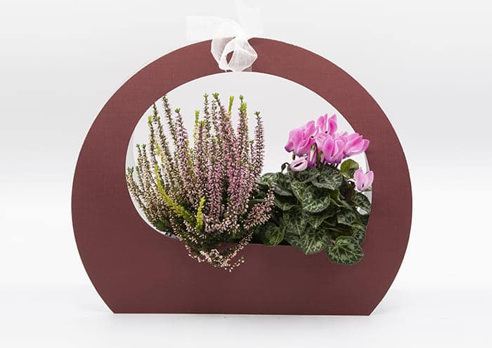 maxi-round-bag-confezione-regalo-per-fiori-Bordeaux