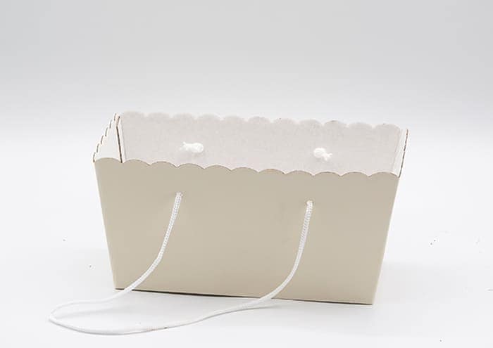 travelflo-cm-30-scatola-regalo-economica-2-piante-vaso-15-con-manico-Avorio