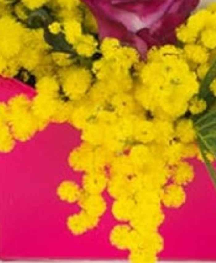 waveflo-prestige-middle-flowerbox-tonda-cm-16-Cuori-multicolor