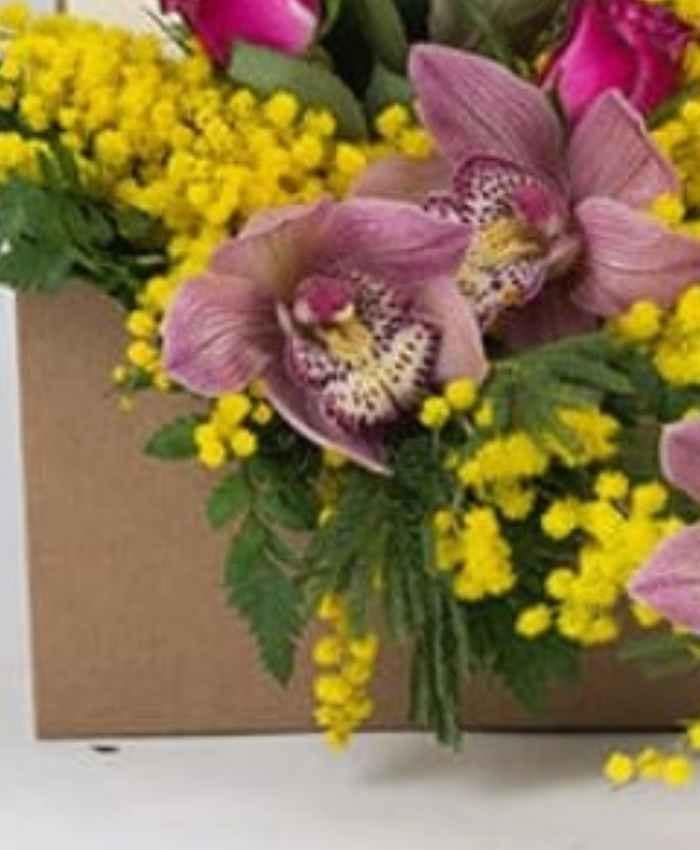 waveflo-prestige-middle-flowerbox-tonda-cm-16-Rustico-chic-carta-pane