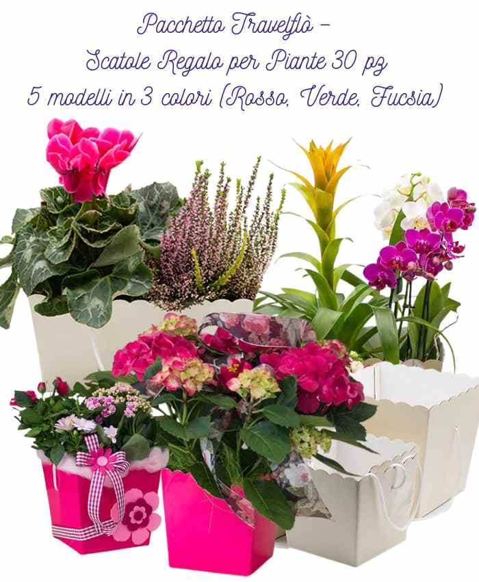 pacchetto-travelflo-30-pz-2-colori-assortiti