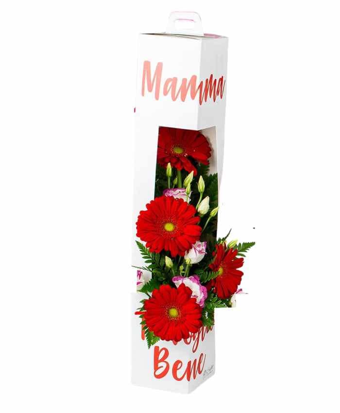 PACCHETTO DEDICABOX MAMMA EDITION (36 pz) - immagine 6