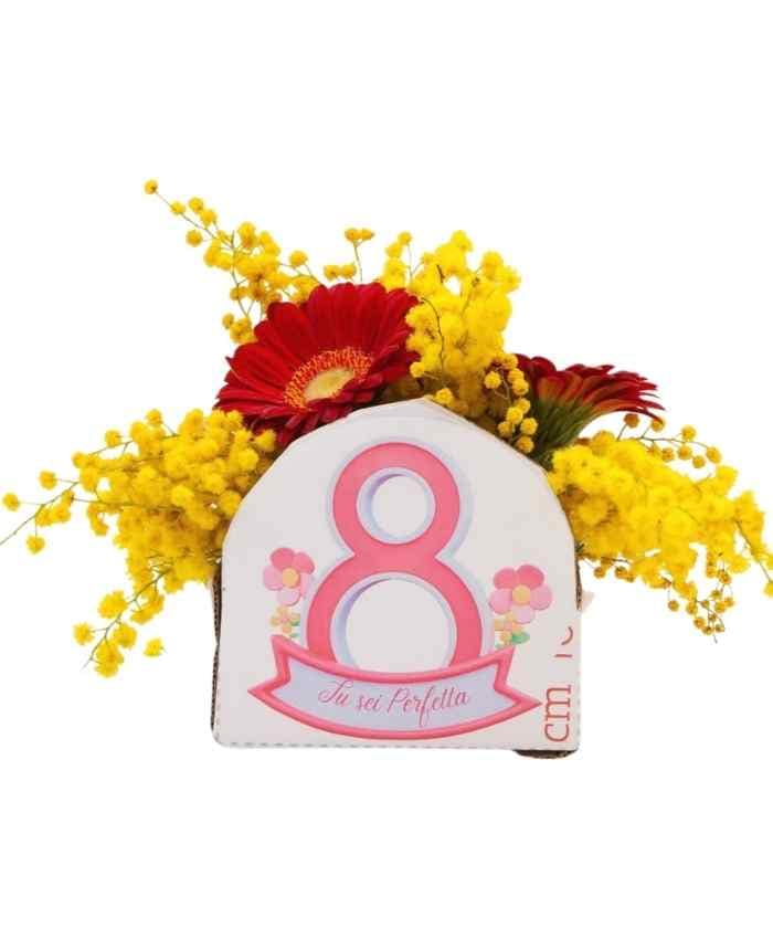 Pacchetto Mimosa per Tutte 100 in 5 modelli assortiti - immagine 25