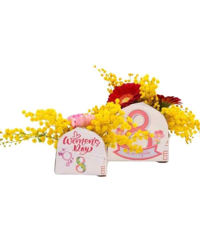 Pacchetto Mimosa per Tutte 100 in 5 modelli assortiti - immagine 12