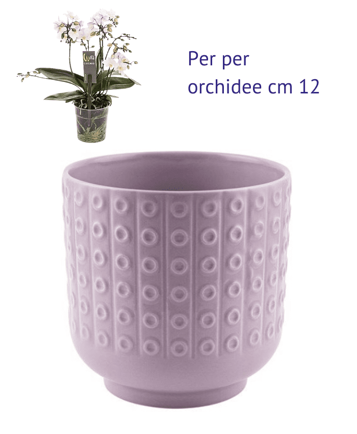 Immagine e commerce Vaso per orchidee ceramica lilla forma cilidro decoro cerchi base stretta