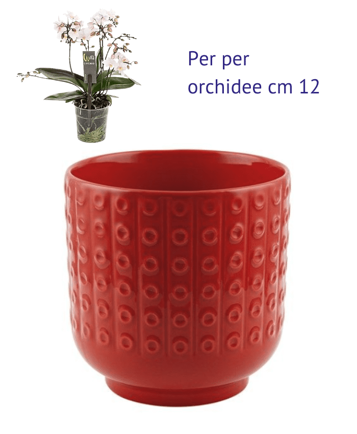 Immagine e commerce Vaso per orchidee ceramica rosso forma cilidro decoro cerchi base stretta