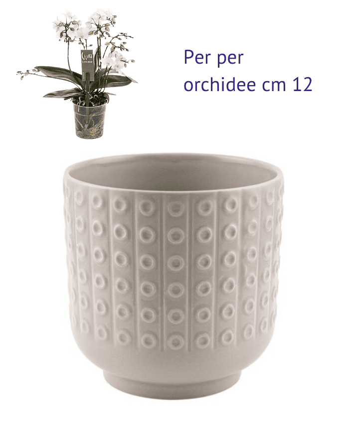 Immagine e commerce Vaso per orchidee ceramica tortora forma cilidro decoro cerchi base stretta
