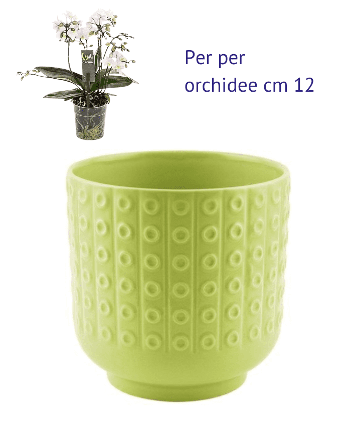 Immagine e commerce Vaso per orchidee ceramica verde forma cilidro decoro cerchi base stretta