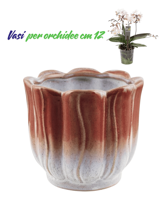 Immagine e commerce Vasi per orchidee superficie ondulata stile classico elegante colore rosso