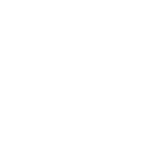 icona Velocizza produzione creazioni San Valentino 200px