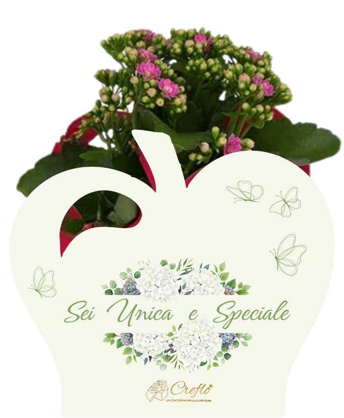 Pacchetto 10 Flowers bags Fiori e Parole 5 modelli 2 fantasie - immagine 4