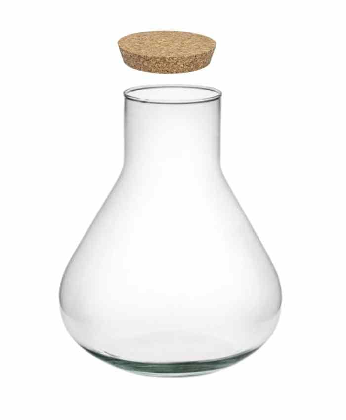 terrarium-vetro-base-larga-collo-stretto-diametro-28-alto-30-cm