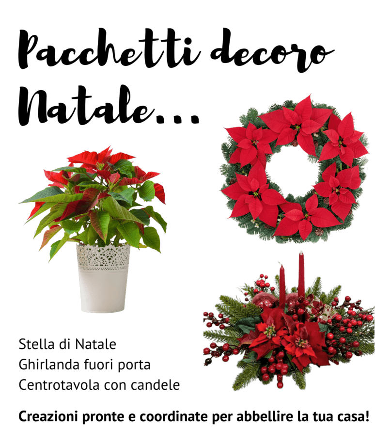 Esempio di bundle prodotti con stelle di Natale 500px